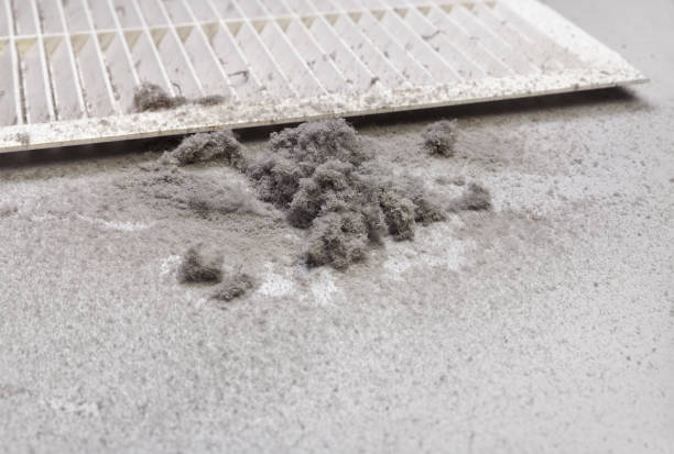 Best Emergency Air Duct Cleaning  in Newton, IA