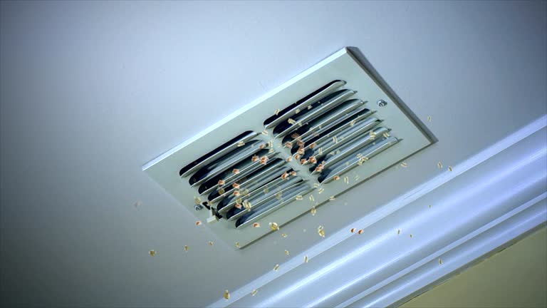 Best Affordable Air Duct Cleaning  in Newton, IA